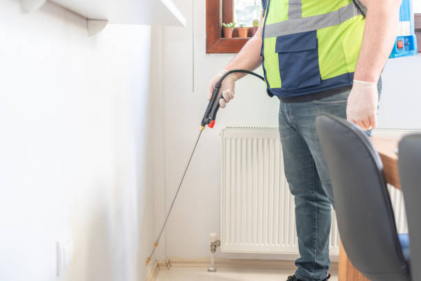 Best Termite Control Services  in Ranger, TX