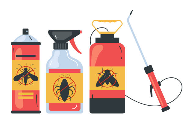 Best Local Pest Control Services  in Ranger, TX