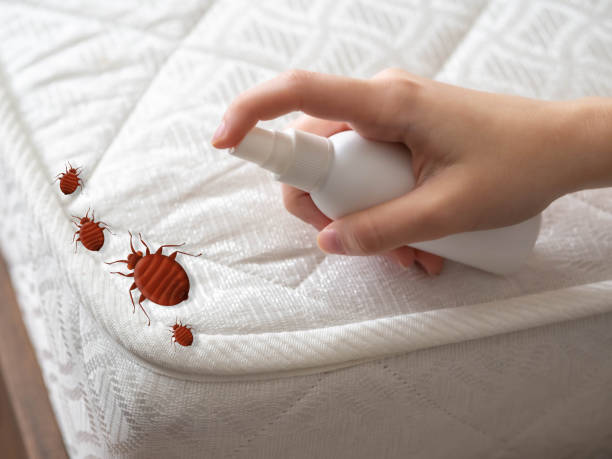 Flea Control Services in Ranger, TX