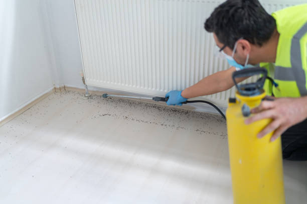 Professional Pest Control in Ranger, TX